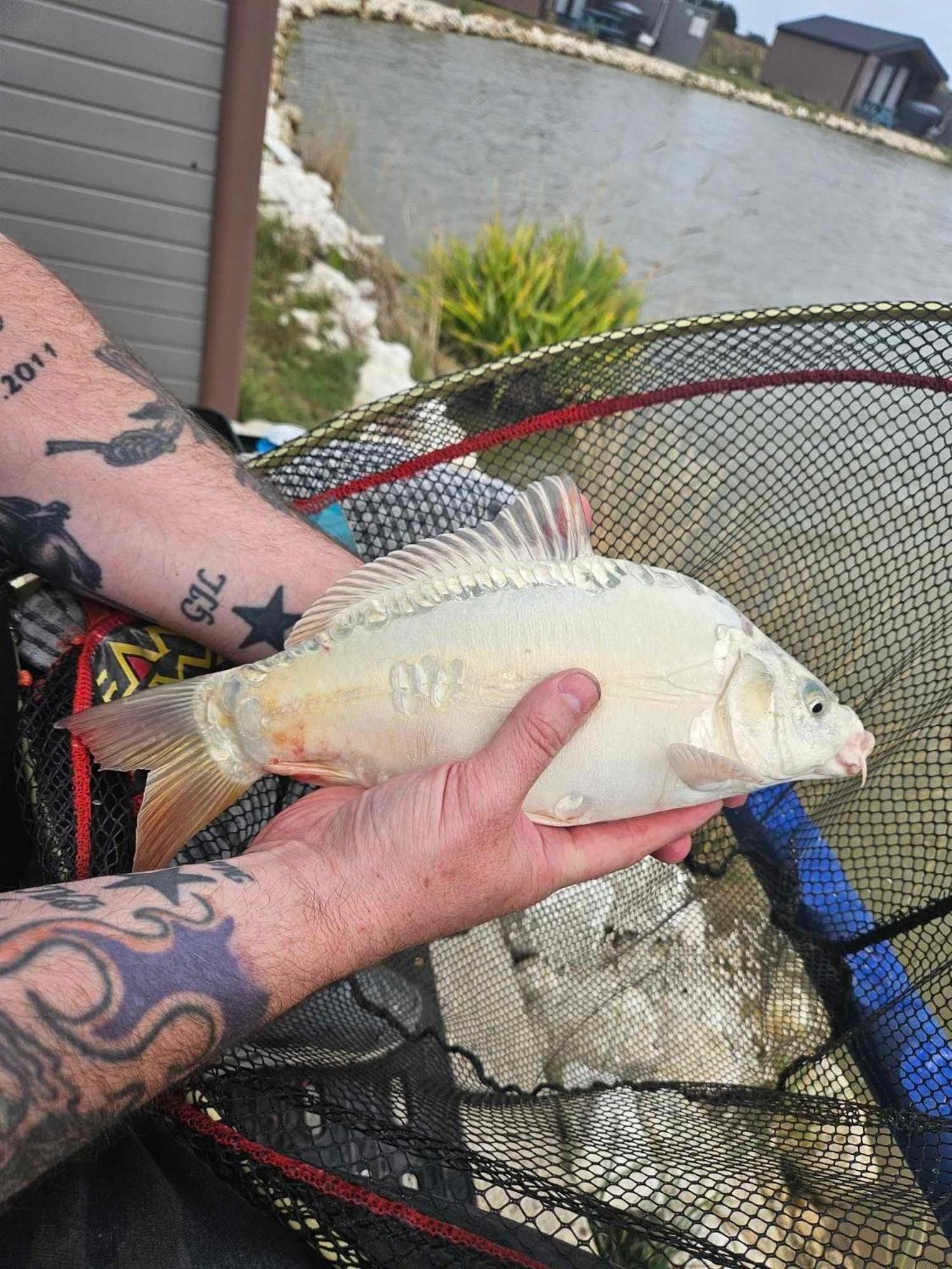 Lakeside Fishing Retreats Boston Værelse billede