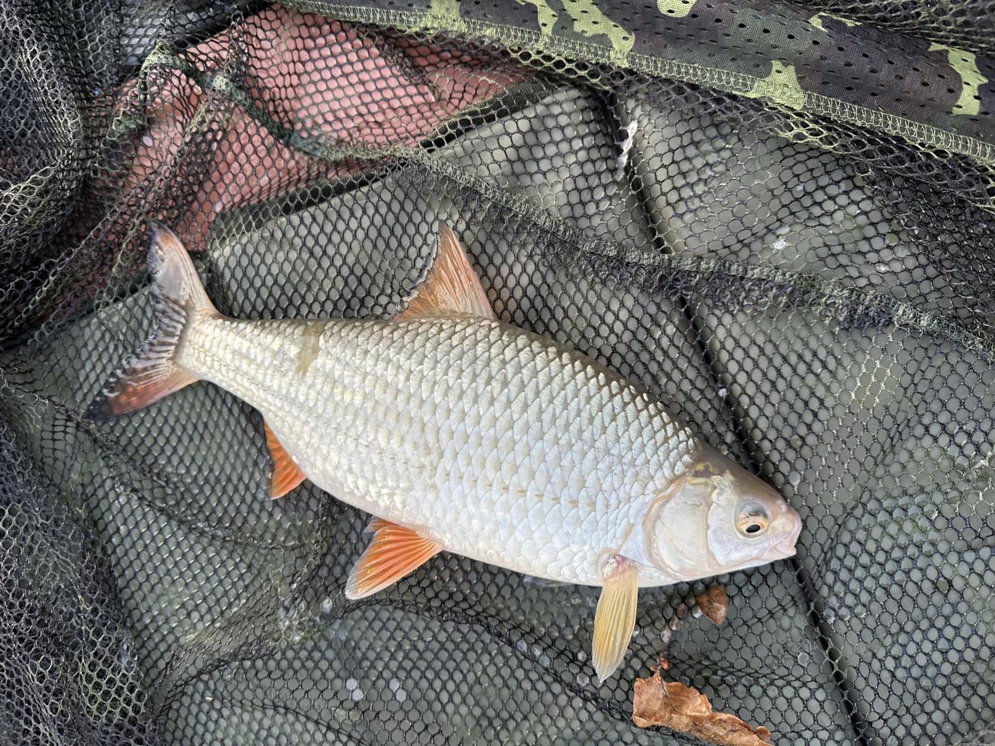 Lakeside Fishing Retreats Boston Værelse billede